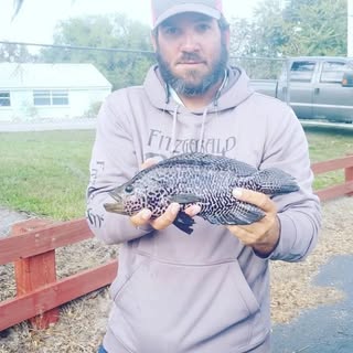 Profile Picture of Sam Sutherland (@samuel.sutherland) on Instagram