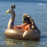 amanda_halvorsen - Instagram Profile Picture of amanda_halvorsen (@amanda_halvorsen) on Instagram