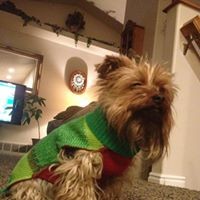 Profile Picture of Karen Larsen (@karen-larsen-28) on Quora