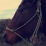 Keisha manning - Instagram Profile Picture of Keisha manning (@keisha_manning_) on Instagram