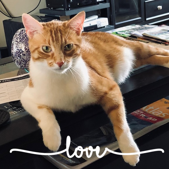 Profile Picture of Emily Pasierb (@ylimes08) on Poshmark