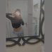 Profile Picture of Nina Hidalgo (@Nina-Hidalgo) on Facebook
