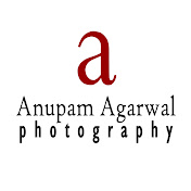 Profile Picture of Anupam Agarwal (@anupamagarwal8682) on Youtube