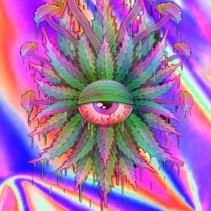 Profile Picture of Thomas Seiler (@thomasseiler2) on Tiktok