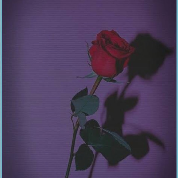 Profile Picture of Harmony Metera (@harmonymetera) on Poshmark