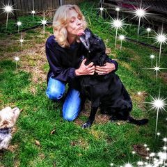 Profile Picture of Donna Wolfe (@donna.wolfe5) on Tiktok