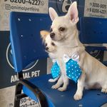 Profile Picture of Spaten e Becks Porto Castela (@spaten_becks) on Instagram