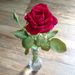 Profile Picture of Julia Klich (@jklich) on Pinterest