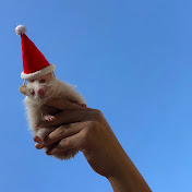 Profile Picture of AI LAM (@aumarchh) on Youtube