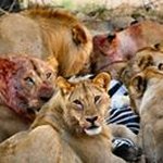 Profile Picture of Jerren Johnson (@jerrenjohnson3050) on Instagram