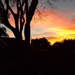 Profile Picture of Christopher Mcgovern (@chrismcg529) on Instagram