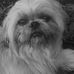 Profile Picture of Joe Gregorius (@joe.gregorius.1) on Facebook