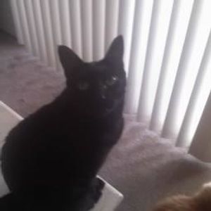 Profile Picture of Jessi Hogan (@jessi436) on Myspace