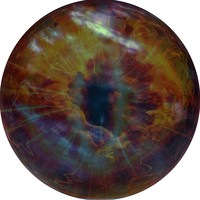 Profile Picture of Ethan Chow (@ethan-chow-7) on Quora