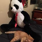 Tara Clouatre - Instagram Profile Picture of Tara Clouatre (@lame_wierdo101) on Instagram