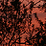 Profile Picture of George Davey (@g.m.davey@btinternet.com) on Flickr