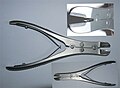 Profile Picture of Bone cutter - Wikipediaon Wikipedia
