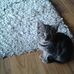 Profile Picture of Maureen Mcroberts (@maureen.mcroberts.71) on Facebook