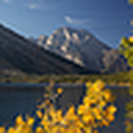 Profile Picture of Tom P Rouse (@Tom P Rouse) on Flickr