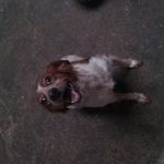 Profile Picture of David Granell (@david_morrongo) on Instagram