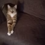 Profile Picture of Danielle Temps (@Danielle-Temps) on Facebook