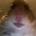 Profile Picture of Jared Gallegos (@jared.gallegos.1272) on Facebook