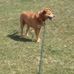 Profile Picture of Larry Ludwig (@larry.ludwig.9026) on Facebook