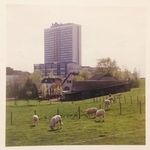 Profile Picture of David Schanen (@davidschanen) on Instagram