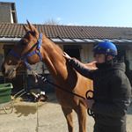 Profile Picture of robinhaedens (@robinhaedens) on Instagram