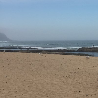 Profile Picture of Brie Ryan (@brie4499) on Twitter