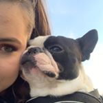 Profile Picture of Moo Moo (@moomootheboston) on Instagram