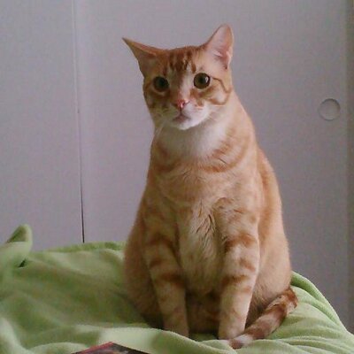 Anabel Leyva - Twitter Profile Picture of Anabel Leyva (@Chimichanga1008) on Twitter