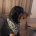Profile Picture of David Wolfley Sr. (@David-Wolfley-Sr) on Facebook
