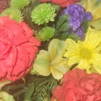 Profile Picture of Amalia Crozier (@amalia.crozier) on Facebook