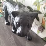 Profile Picture of Alice Morel (@alice.morel.1481) on Facebook