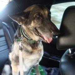 Profile Picture of bobhollabaugh (@bobhollabaugh) on Tiktok