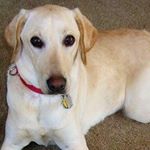 Profile Picture of Tamara Charters (@tamaracharters) on Instagram