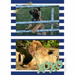 Profile Picture of Kate Jeffrey & Skye McIntosh (@dog_bonkers_sk) on Instagram