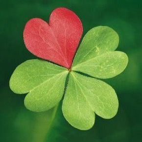 Profile Picture of Jean Walter (@jean.walter2) on Tiktok