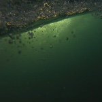 Profile Picture of Mark Voehringer (@markvoehringer) on Instagram