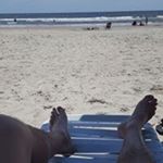 Profile Picture of Stephen Mizell (@mayor.of.awesometown) on Instagram
