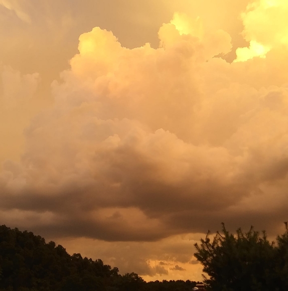 Profile Picture of Suzanne Strause (@suzannestrause) on Poshmark