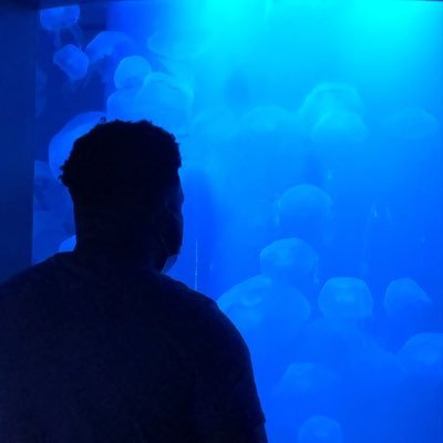 Profile Picture of Tank (@_AlexLenoir_) on Twitter