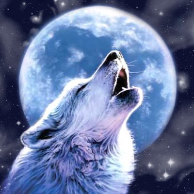 Profile Picture of Robert Rozanski (@RobertRozanski0) on Twitter