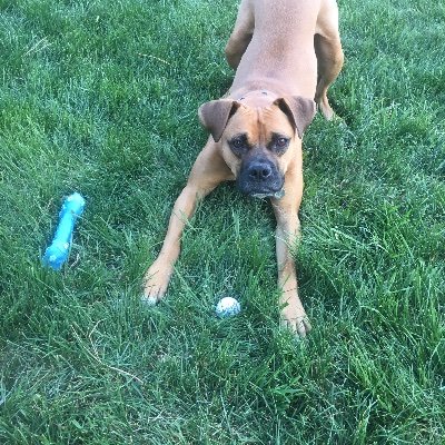 Profile Picture of Charlie_Hossa_Riddle (@HossaRiddle) on Twitter