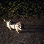 Profile Picture of Danny Voigt (@danny.voigt.161) on Instagram