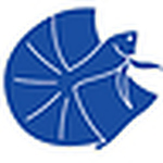 Profile Picture of Suporn Khumhom (@bluebetta) on Flickr