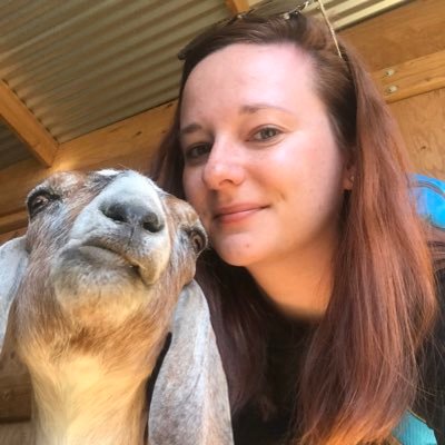 Profile Picture of Claire Porter (@clairehporter) on Twitter