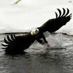 Profile Picture of Richard Worsley (@richard.worsley7571) on Instagram