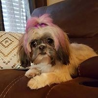 Profile Picture of Yolanda Royal Charles (@yolanda-royal-charles) on Quora